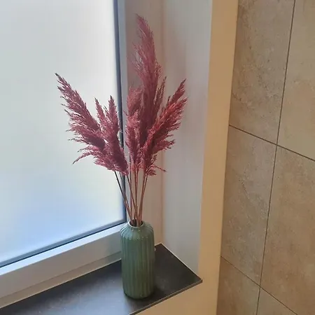 Thon An Der Schlossruine Lejlighed Herbsleben