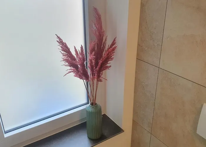 Thon An Der Schlossruine Daire Herbsleben